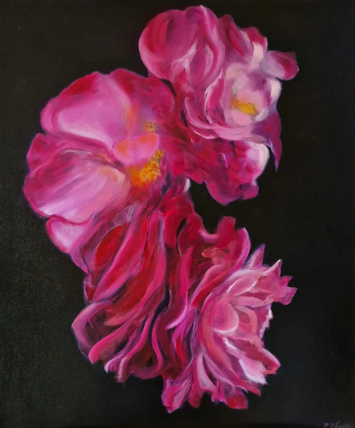 Roses magenta — peinture à l'huile sur fond noir par Muriel Averos